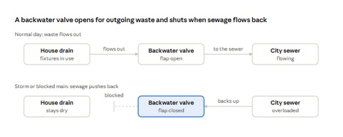 Backwalve water